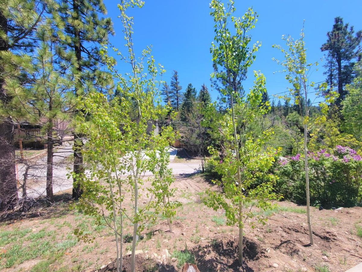 Four Seasons Getaway-Private Hot Spa With Pine Tree Views-Walk To Village And Pineknot Trailhead-Plus King Bed! Біг-Бер-Лейк Екстер'єр фото